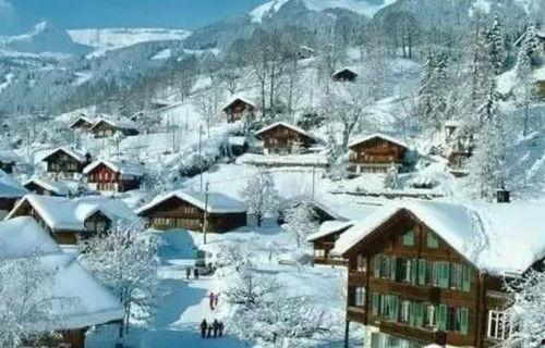 漠河吃瓜吃到自己,吃瓜吃到自己，揭秘神秘事件背后的真相