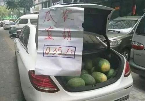 汽车吃瓜图片,揭秘汽车界的趣味瞬间