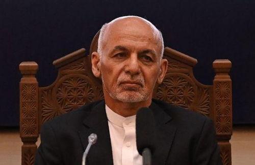 加尼福利亚吃瓜,探寻加尼福利亚的甜蜜诱惑