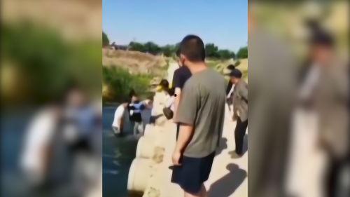 围观且吃瓜,揭秘娱乐圈幕后真相