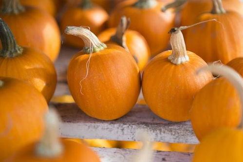 笑骨吃瓜,揭秘娱乐圈幕后趣闻