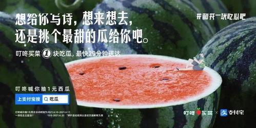 吃瓜写真文案,揭秘明星幕后生活瞬间