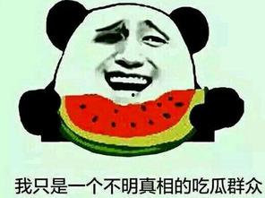 王靖博吃瓜群众,吃瓜群众眼中的娱乐圈风云人物