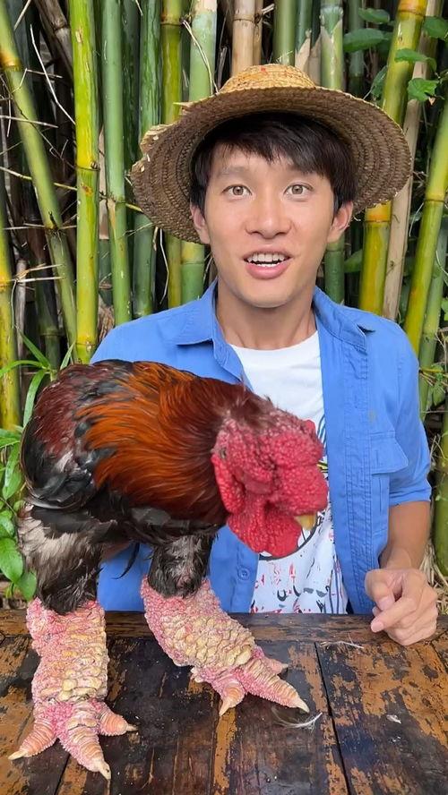 吃瓜组挑战,揭秘娱乐圈幕后真相！