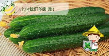 抓手瓜怎么吃最好吃,解锁最佳食用秘诀