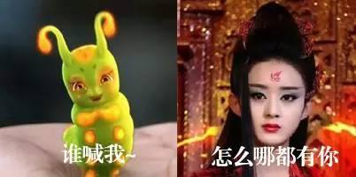 吃瓜动作bug,揭秘网络狂欢背后的技术谜团