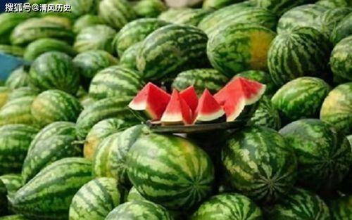 最新吃瓜观看,揭秘明星幕后故事