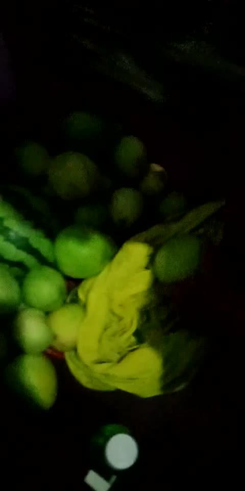 吃瓜偷瓜搞笑,吃瓜偷瓜的欢乐喜剧之旅