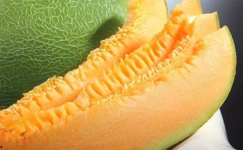 常温颠覆三观吃瓜