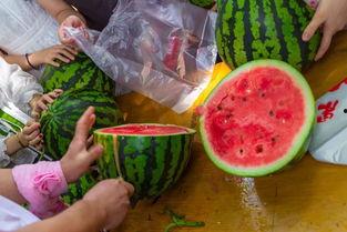 吃瓜食品配音,揭秘吃瓜食品的配音魅力