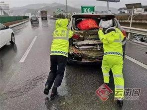 吃瓜群众的奇葩视频,揭秘那些令人捧腹的奇葩视频瞬间