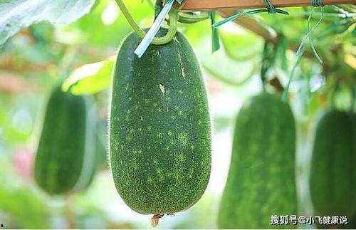 女性经常吃瓜,女性如何通过吃瓜解锁生活新乐趣