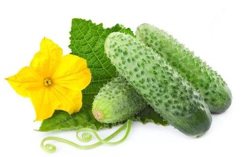 陆欣然吃瓜系统,揭秘娱乐圈幕后真相