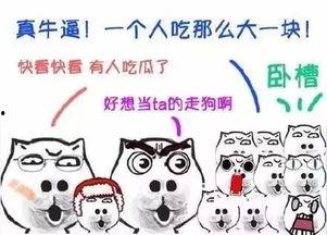 吃瓜群众之一全集,揭秘娱乐圈背后的真相与笑料