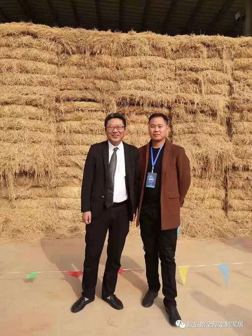 吃瓜总经理,职场风云中的瓜界传奇