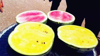 土耳其瓜咋吃,从传统到创新吃法
