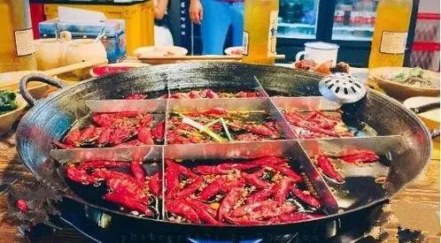 料理猫王吃瓜火锅,料理猫王独家吃瓜火锅大揭秘