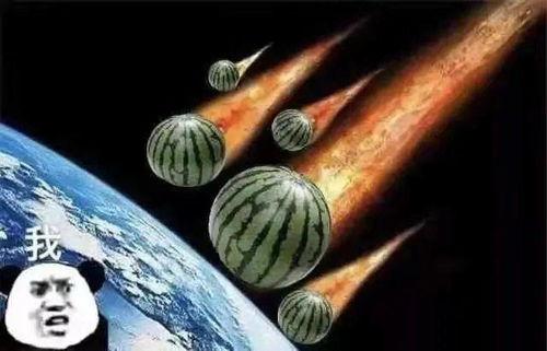 吃瓜有关的文案句子,揭秘娱乐圈那些吃瓜群众的幕后故事