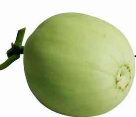 梨瓜可以做成什么吃,创意料理新尝试