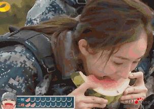 吃瓜群众变同伙,揭秘网络舆论的演变之路