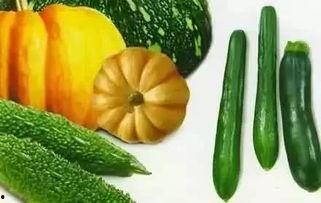 高句丽吃瓜,瓜果飘香的历史画卷