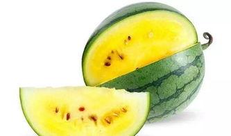 网上吃瓜去哪里