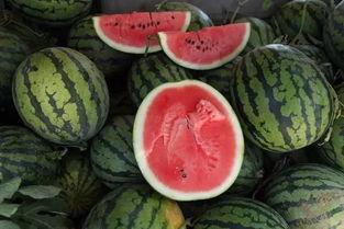 金钱钱吃瓜,揭秘财富与娱乐的交织世界