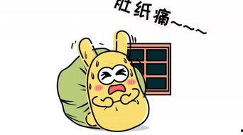 吃瓜群众广东,吃瓜群众的美食盛宴与生活百态