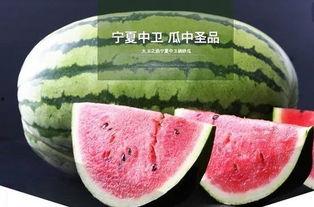 鲤鱼吃瓜的视频,一场奇妙的鱼水互动