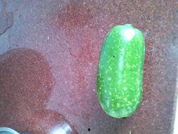 孕妇天天吃瓜好吗