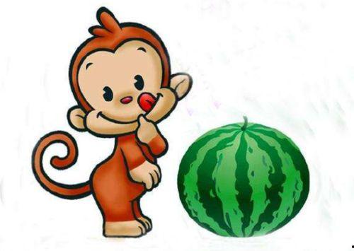 吃瓜人的吃瓜故事简介怎么写