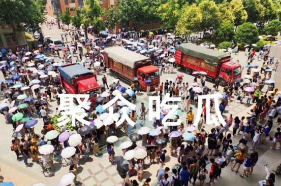 吃瓜事件大学,大学生活中的是非曲直