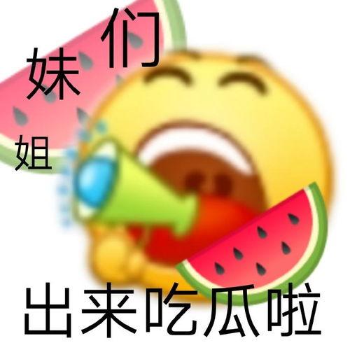西城吃瓜是什么,一场网络热词背后的文化现象