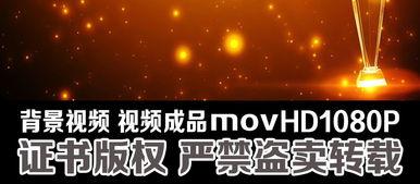 颁奖吃瓜视频素材,明星同框，幕后吃瓜大揭秘！