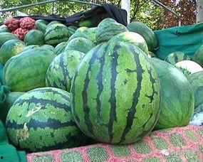 吃瓜老七,网络红人的崛起与影响力