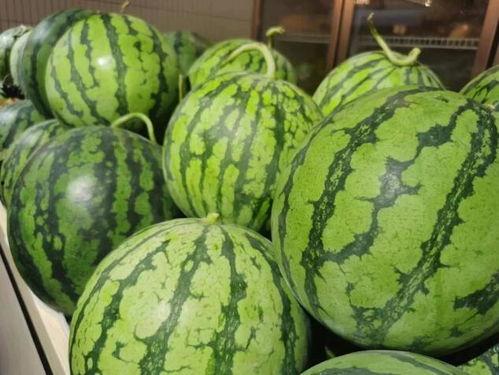 苏州流调吃瓜,一场城市生活的缩影与反思