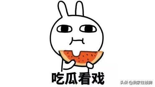 带你吃锅带你吃瓜,带你领略火锅与瓜果的美食之旅